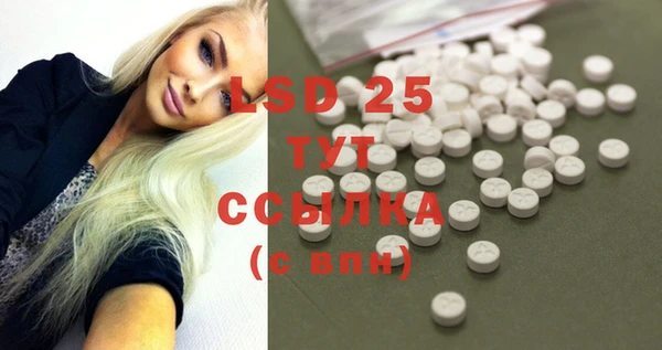 PSILOCYBIN Абдулино