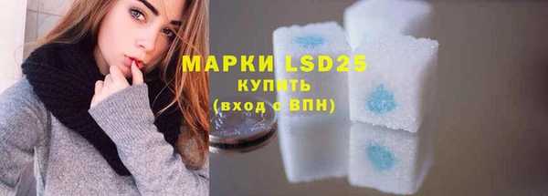 ГАЛЛЮЦИНОГЕННЫЕ ГРИБЫ Абаза
