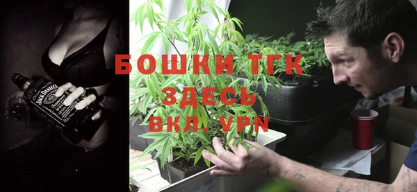 ГАЛЛЮЦИНОГЕННЫЕ ГРИБЫ Абаза